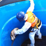 Serviços 7 Limpeza de Caixa dágua